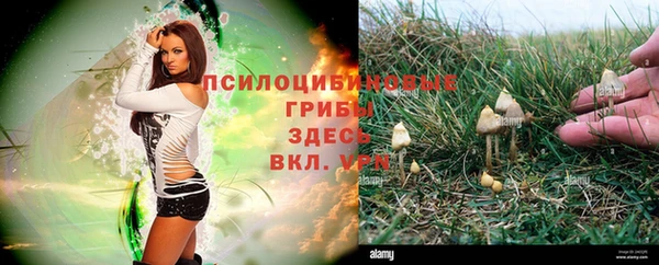 apvp Мегион