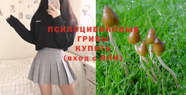 стафф Медногорск